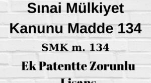 SMK 134 sınai mülkiyet kanununun 134. maddesi ek patent zorunlu lisans