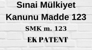 Sınai Mülkiyet Kanunu 123 Ek patent SMK 123 ek patent ek patent başvurusu