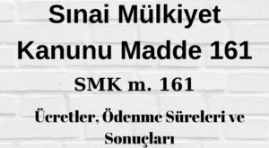 SMK161 Sınai Mülkiyet 161 ödenme ücretleri