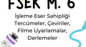 FSEK madde 6 işlemeler tercümeler