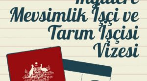 İngiltere mevsimlik işçi vizesi ve tarım işçisi rehberi: Seasonal Worker Visa detayları.