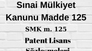 patent hakları lisans sözleşmesine konu olabilir patent inhisari lisans patent inhisari olmayan lisans