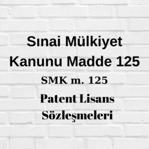 patent hakları lisans sözleşmesine konu olabilir patent inhisari lisans patent inhisari olmayan lisans