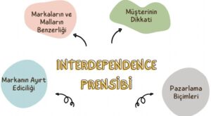 marka karıştırılma marka interdependence markaların karıştırılma ihtimali markalar arasında karıştırılam riski