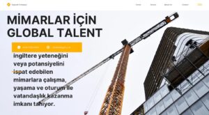 mimar global talent mimar yetenek vizesi