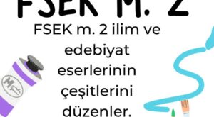 FSEK Madde 2 Yazılı Eserler: "Dil ve yazı ile ifade olunan eserler ve bilgisayar programları"