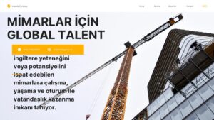 mimar global talent mimar yetenek vizesi